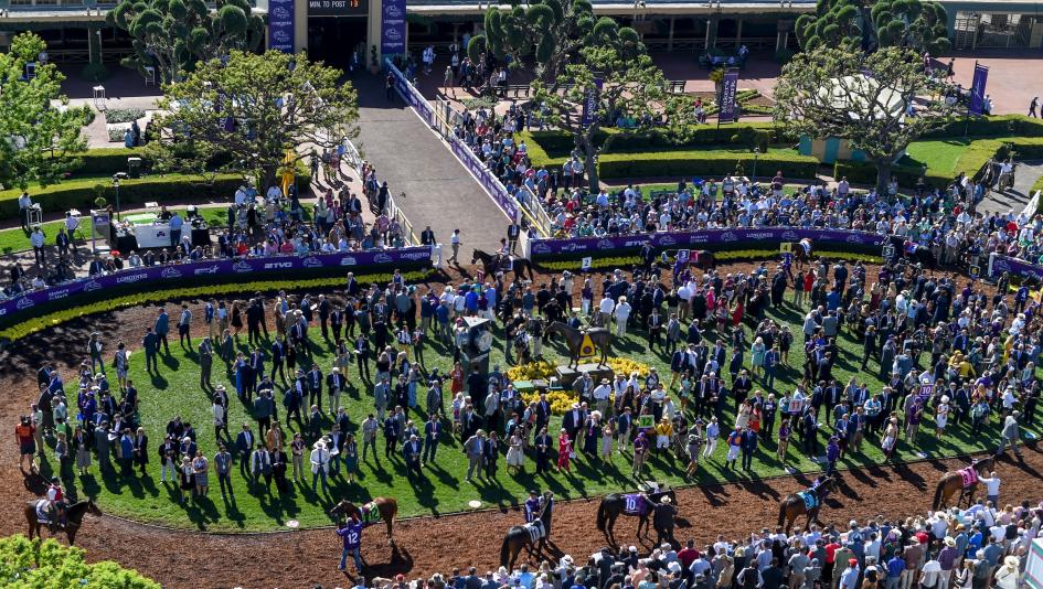 2019 Breeders’ Cup World Championships, Eclipse Sportswire